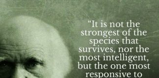 How to Successfully Evolve Software Code in a World of Simulation