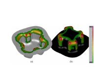 Influence of Roughness on the Numerical Simulation of the Tribological System in the Stamping Process