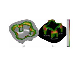 Influence of Roughness on the Numerical Simulation of the Tribological System in the Stamping Process