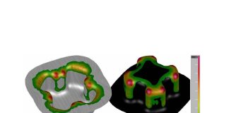 Influence of Roughness on the Numerical Simulation of the Tribological System in the Stamping Process